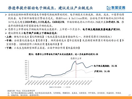 東吳證券 從思摩爾看電子煙黃金時(shí)代——計(jì)算機(jī)批發(fā)視角